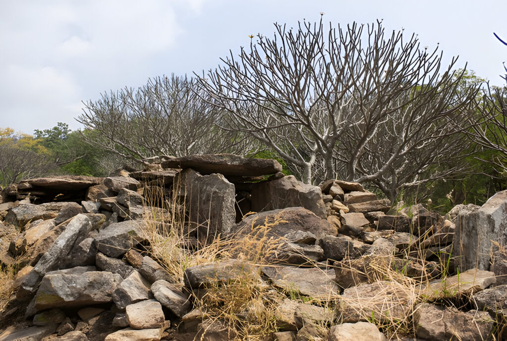 Muniyaras (Dolmens)