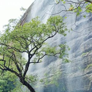 Irachilpara Waterfalls