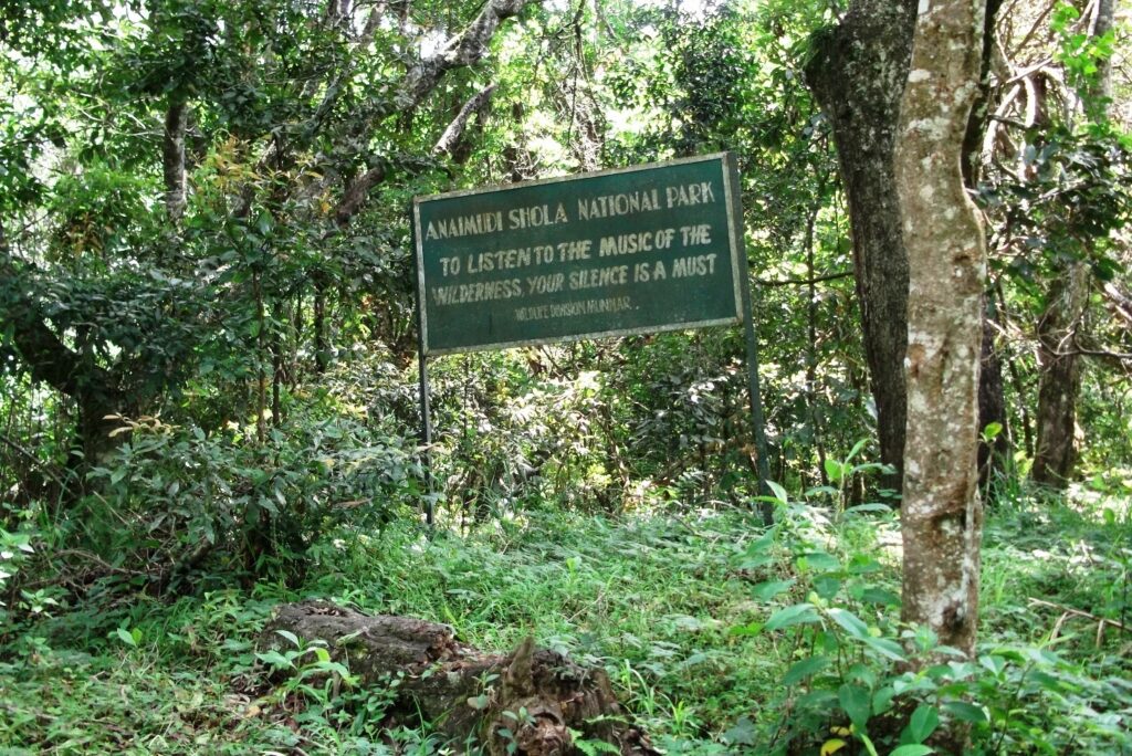 Anamudi Shola National Park